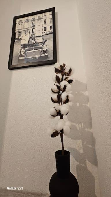 Appartement Calme Льевен Экстерьер фото